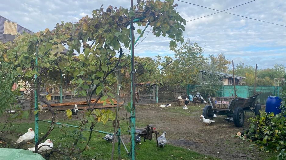 Vanzare casă cu teren generos în Săcueni, la 15 minute de Târgoviște - Poză 18