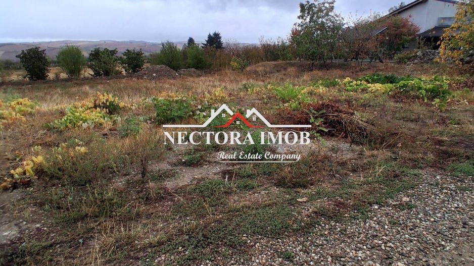 NECTORA IMOB-Teren Intravilan PALEU, 676 mp, Autorizatie Constructie - Poză 5