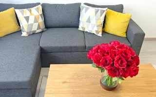 Renovat recent, aproape de Judetean, aproape de Complex, PET FRIENDLY! - Poză 14