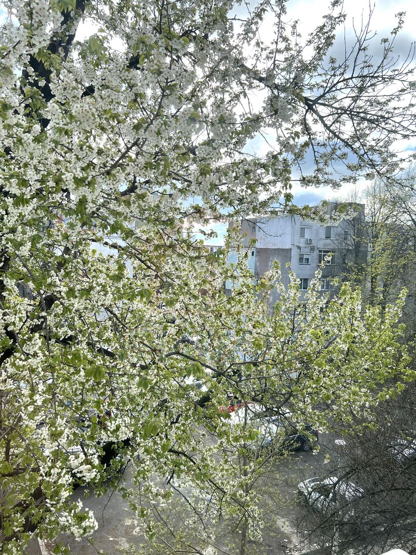 🏡 Apartament 2 camere, etaj 3, stradal – zonă excelentă Micro 40 - Poză 15