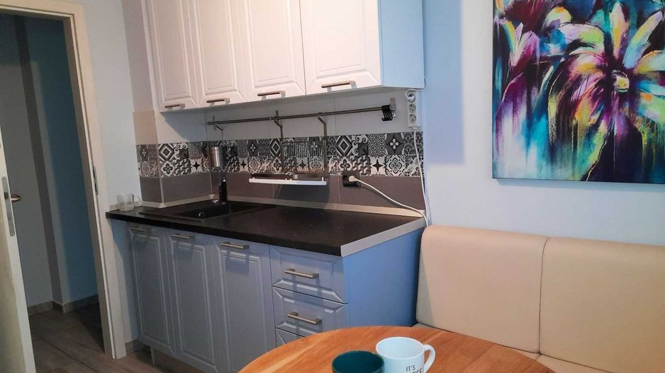 Apartament 3 camere Parcul Circului cu vedere la parc - Poză 4