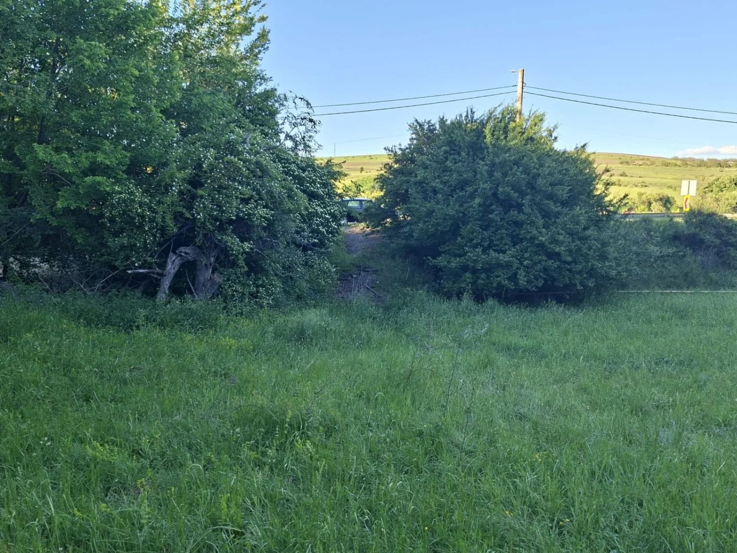 Teren de vanzare in Martinesti - Poză 2