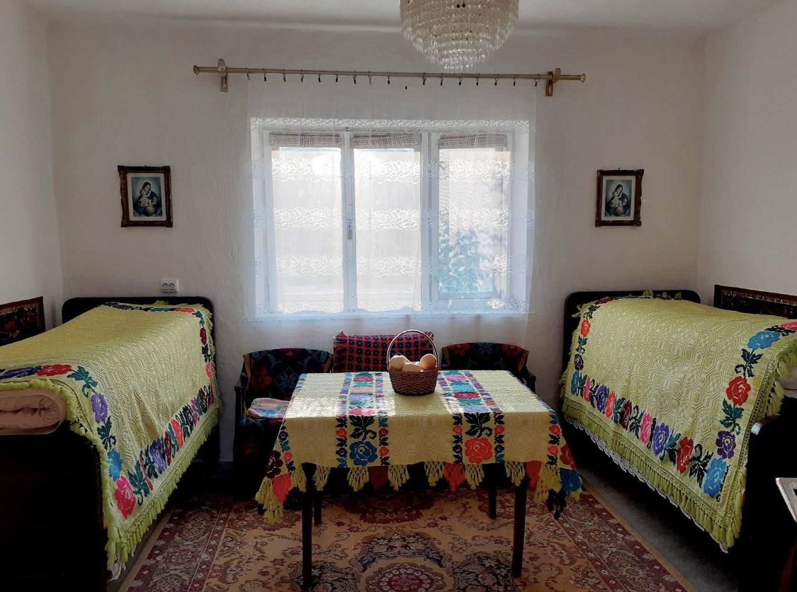 Vand casa cu gradina 4000 mp ca 12 Km de statiunea geotermala Tasnad - Poză 6