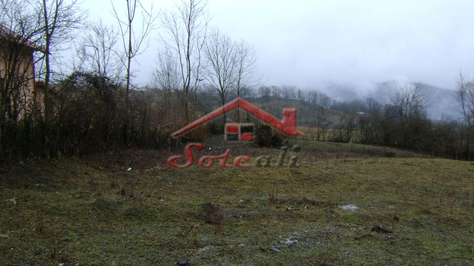 Teren de vanzare in Provita de jos - Poză 6