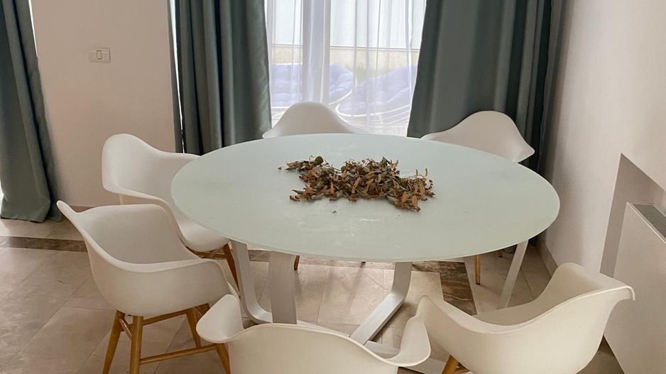 VILA CASA DE INCHIRIERE IN ZONA EROU IANCU NICOLAE PIPERA - Poză 29