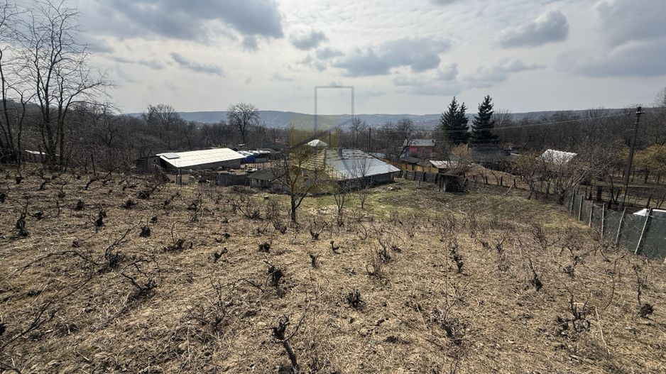 Teren intravilan Dobrovat + Casa Batraneasca - Poză 6