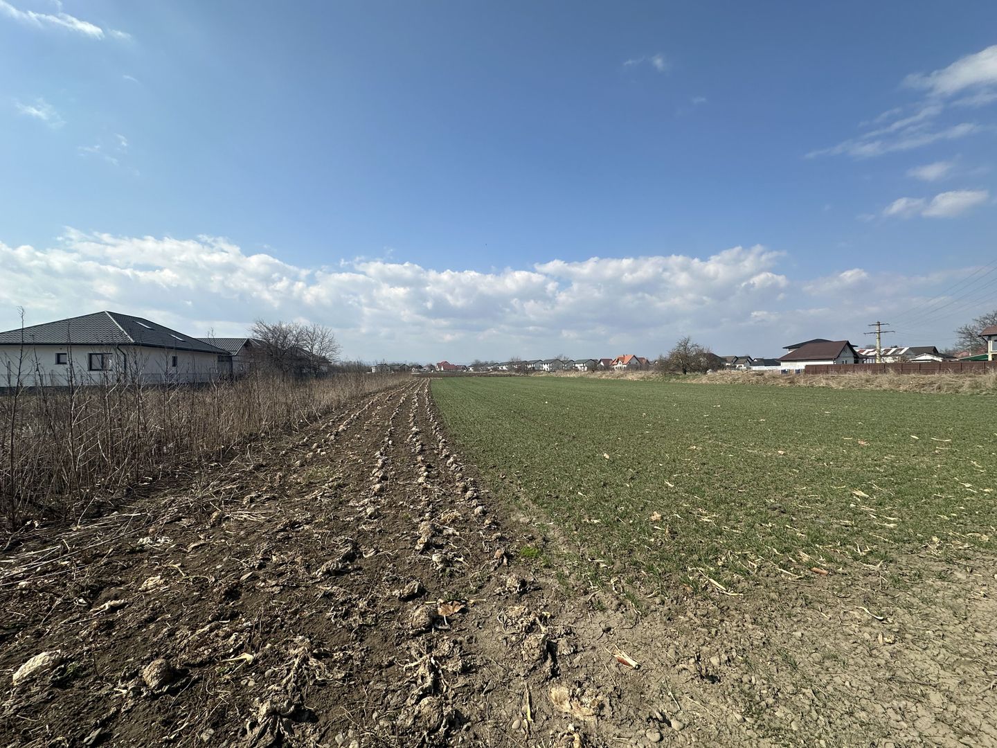 Teren intravilan 20 ari | Rădăuți | Front stradal 19.49 m - Poză 2