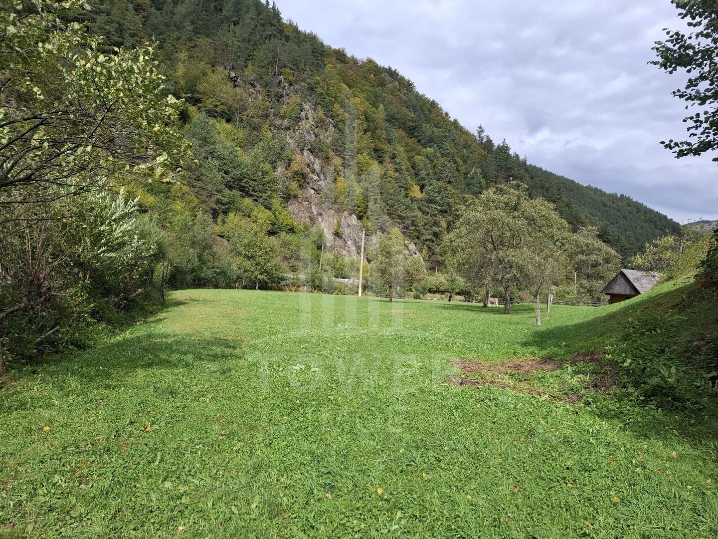 Teren Intravilan de Vânzare – 3622 mp – Râu Sadului - Poză 1