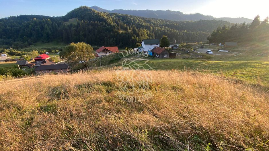 Teren Intravilan 1000mp-panorama-oportunitate investitie-Colibita - Poză 3