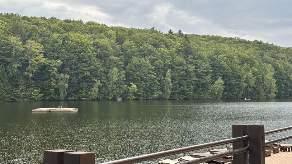 Un teren de vis cu deschidere la Lacul Trei Ape, Brebu Nou | Com 0% - Poză 8