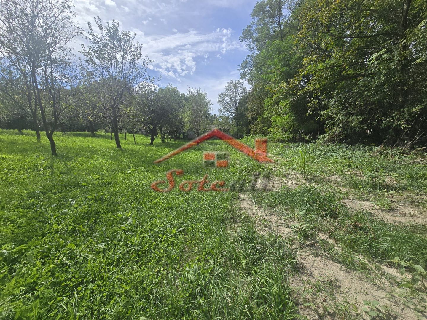 Oportunitate de investiție în Breaza – teren intravilan de 3.591 mp - Poză 5