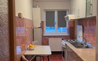 Apartament 2 camere | Decomandat | Parter Înalt | Balcon | Vasile Aaron - Poză 9