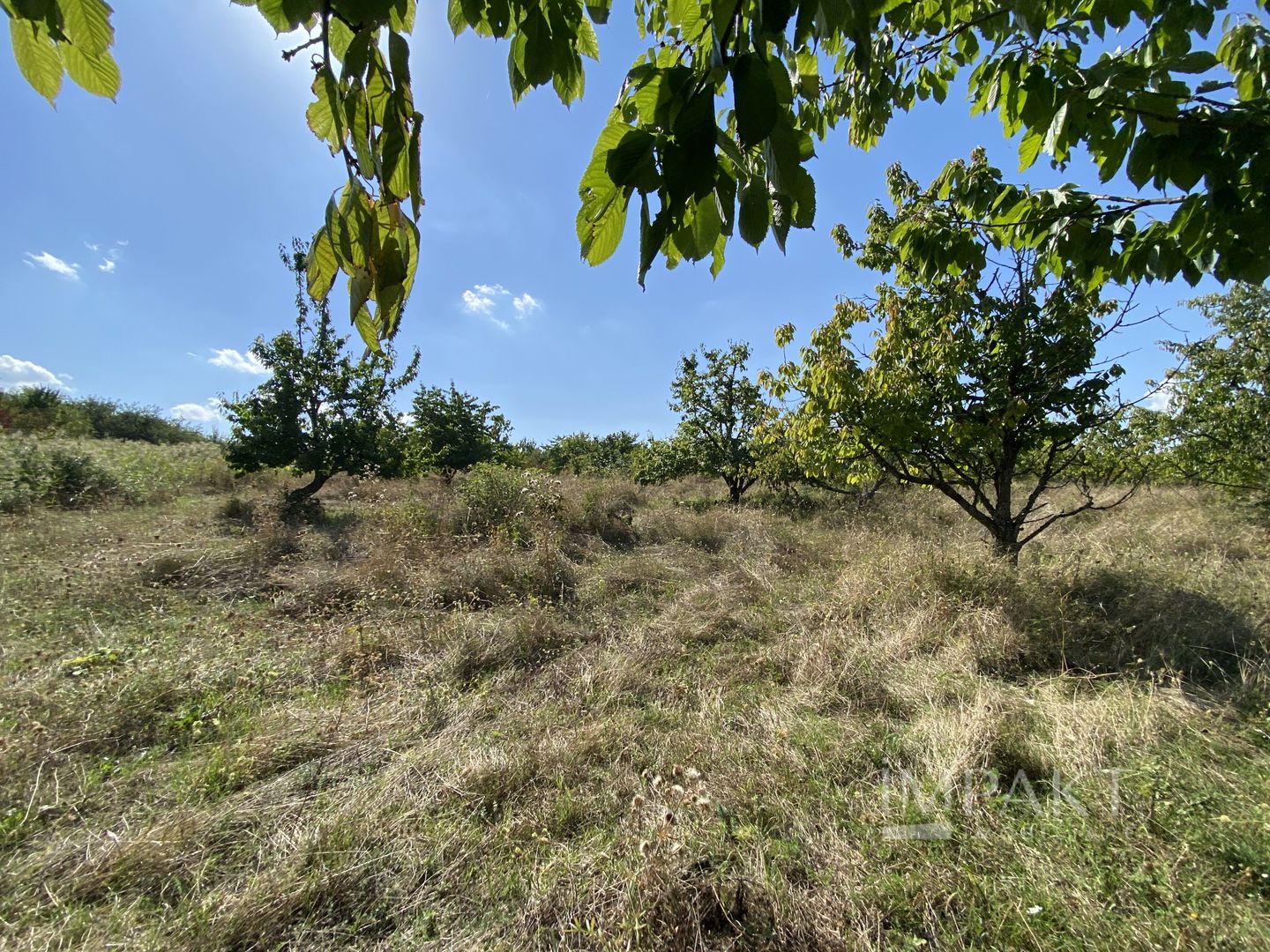 Teren 802 m2 Faget cu PUZ aprobat - Poză 2