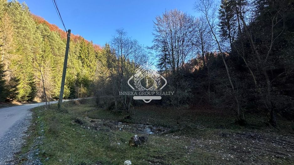 Teren 2.882 mp – oportunitate investitie - Cheile Dâmbovicioarei - Poză 15