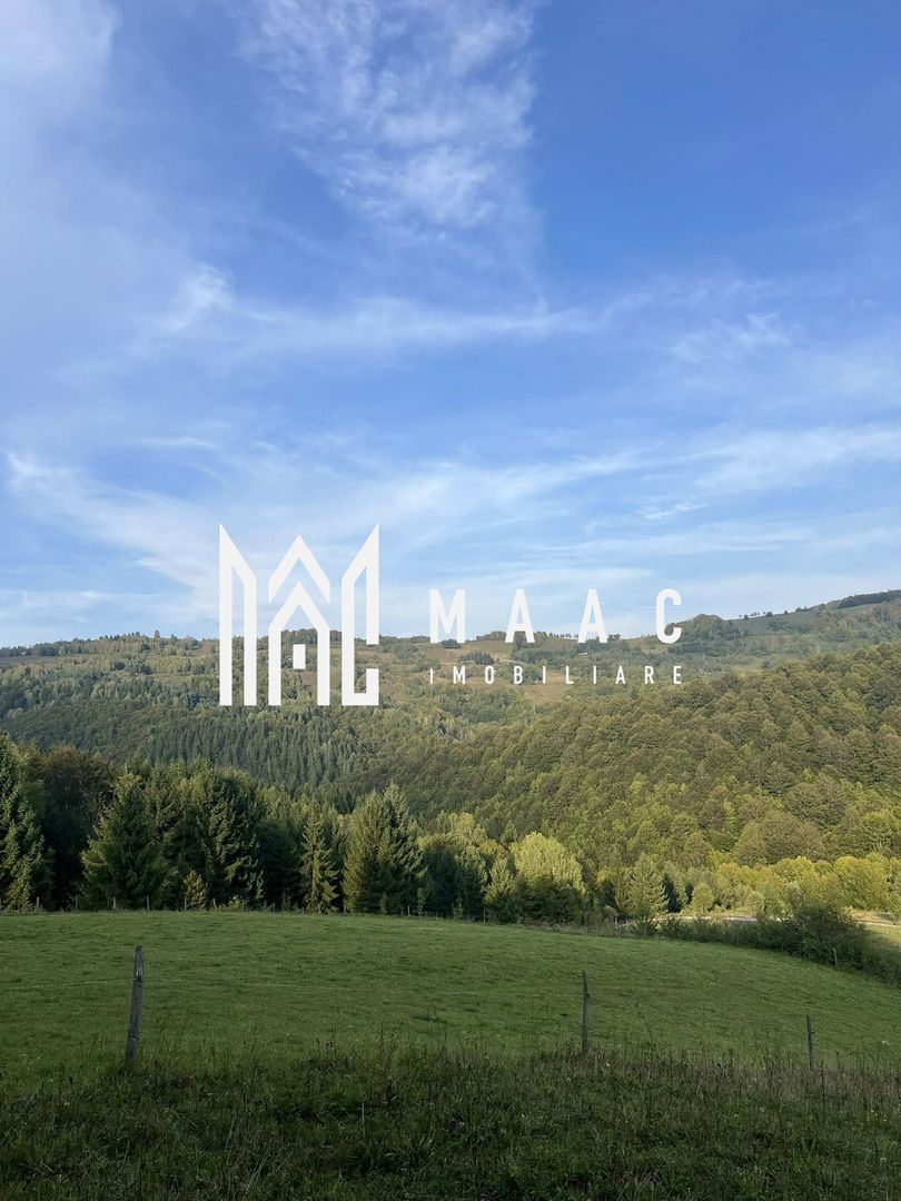 Super oferta I Vânzare Teren – Poiana Sohodol, Județ Alba - Poză 7