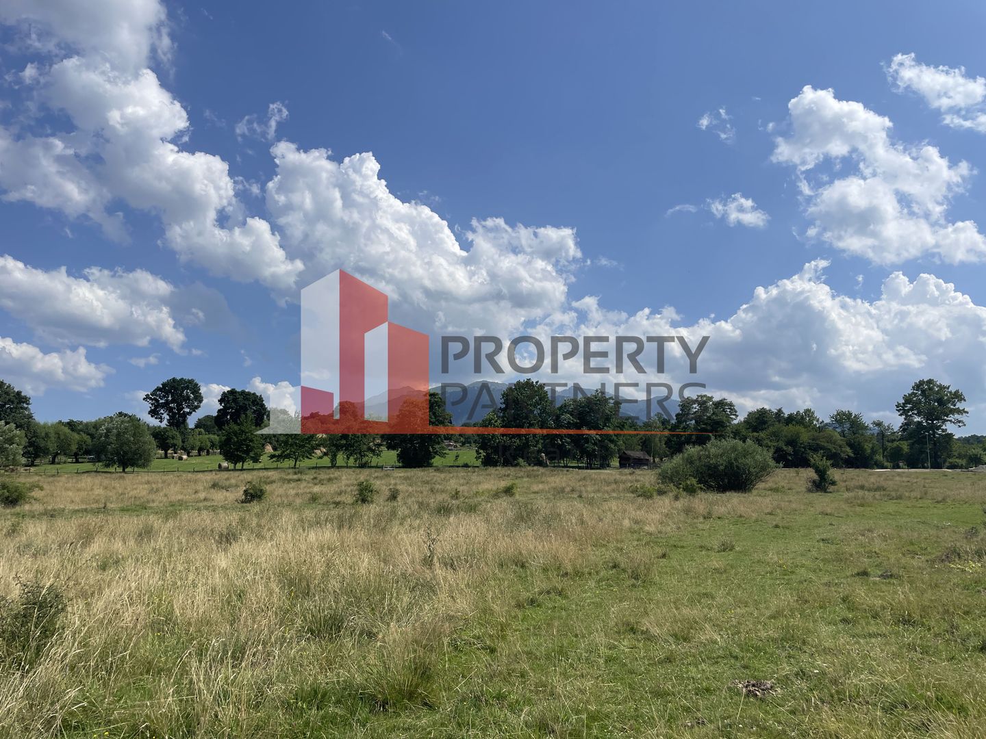 Teren de vanzare in  Tohanu Nou-Sohodol 6200 mp - Poză 8