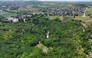 Teren de 37.5 ari în inima pădurii – Oportunitate unică de investiție lângă Crama Mileștii Mici! - Poză 4