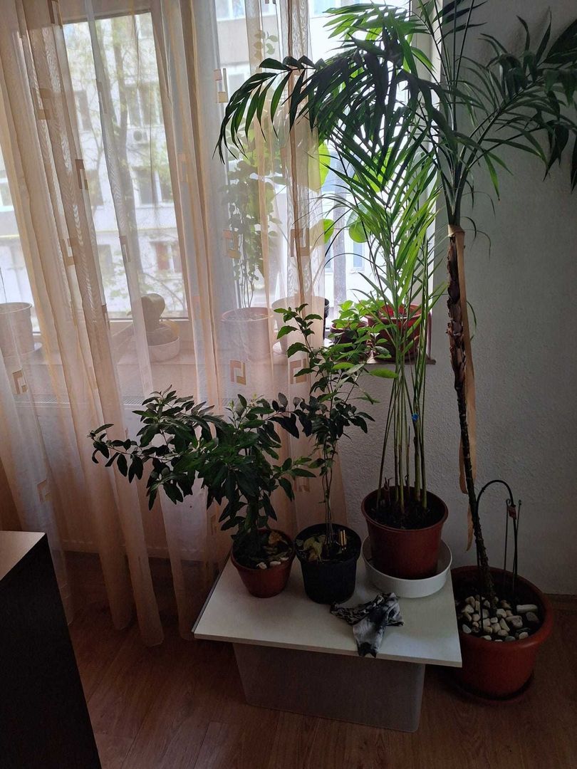 Apartament cochet 2 camere in apropiere de Metrou Crangasi - Poză 4