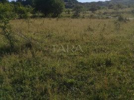 Teren de vânzare în Florești, zonă cu verdeață și pădure. - Poză 1