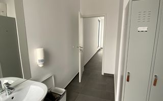 Spațiu Birouri Dumbrăvița - Poză 21