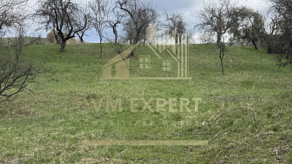 TEREN INTRAVILAN 4365 MP POENARII DE MUȘCEL  JUDEȚUL ARGES - Poză 28