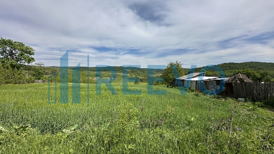 Teren de vânzare, Sat Valea Mare, Com. Roșiori, Bacău - Poză 7