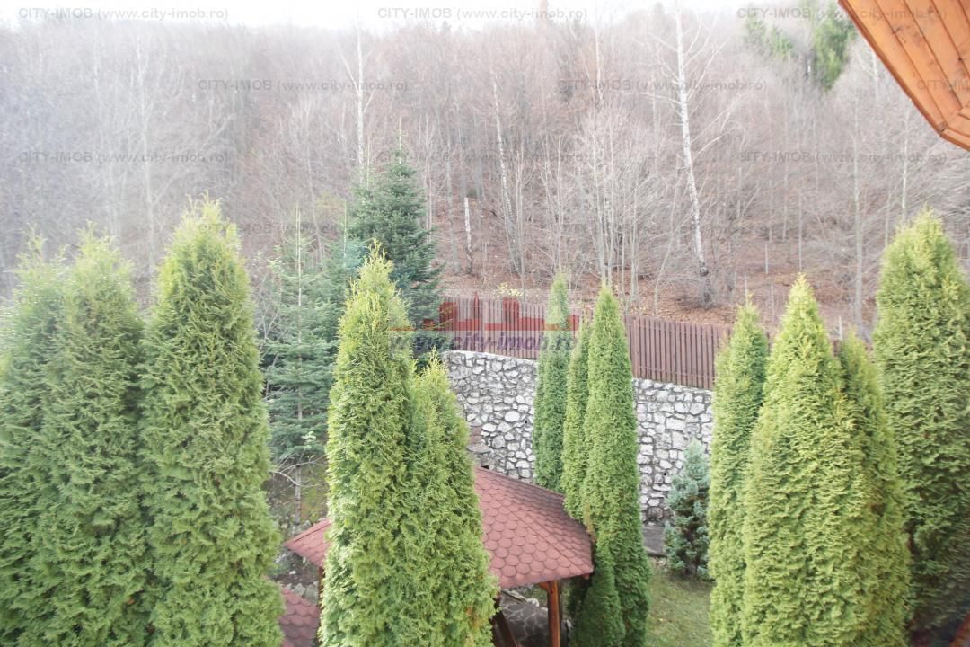 Vanzare Vila SINAIA - Poză 45