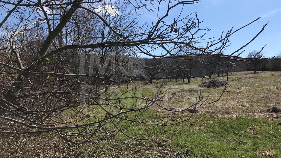 Vanzare 800 mp teren cu PUZ pentru casa individuala in Faget - Poză 3