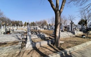 Loc de veci în Cimitirul Petru și Pavel, Parcela 19, Albești - Poză 1
