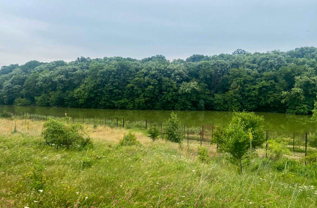 Teren Intravilan de vanzare 3778 mp Branesti Strada Violetelor - Poză 11