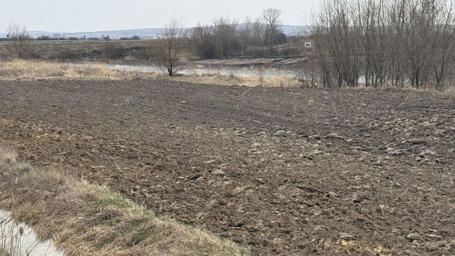 Teren extravilan | Rădăuți | 36 ARI - Poză 3