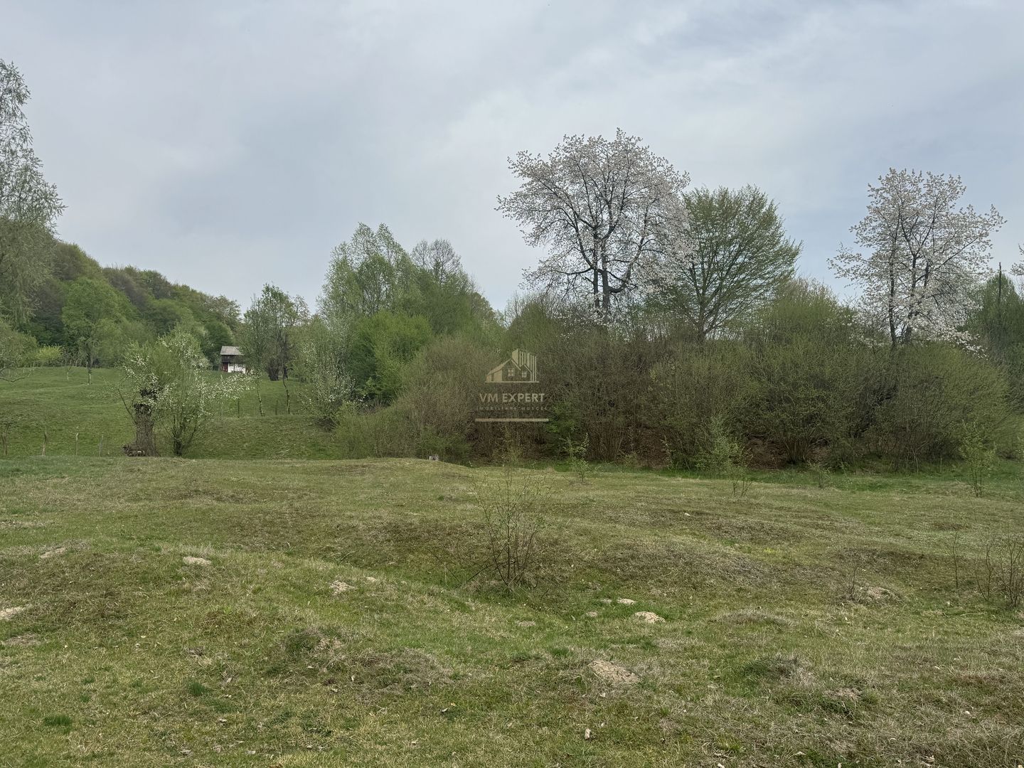 TEREN EXTRAVILAN 40000 MP, ALBESTI DE MUSCEL, CANDESTI - Poză 15