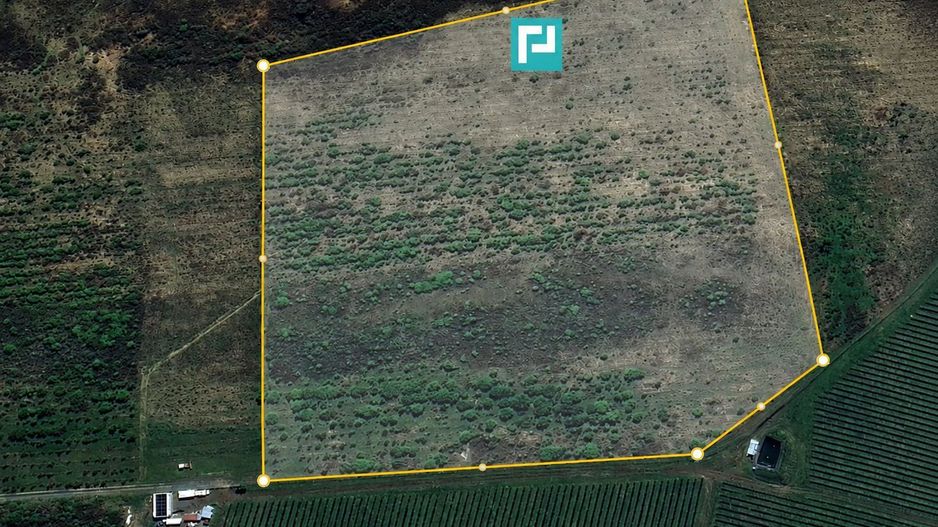 Teren Extravilan 4,5 hectare in Lipova - Poză 2