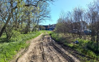 Teren intravilan 2927 mp - com. Domnesti sat Teghes - Poză 6