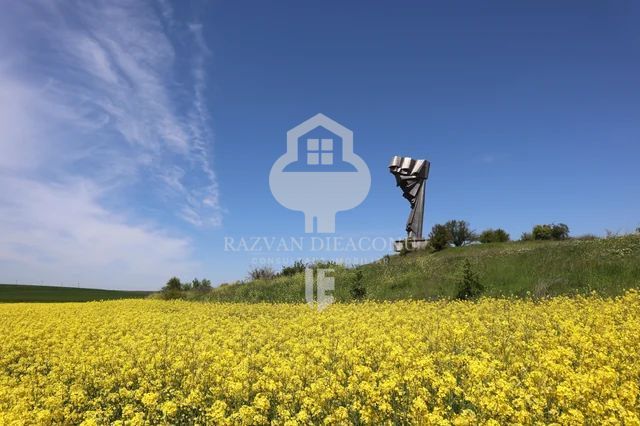 TEREN DE VANZARE - Poză 3