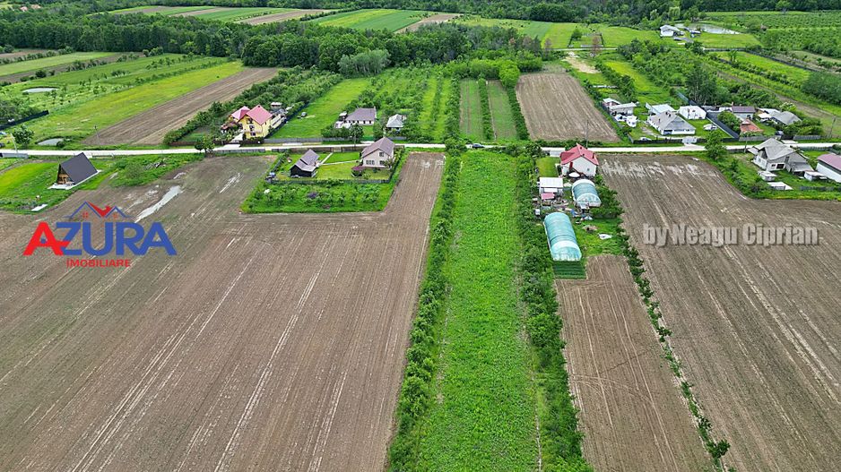 AZURA Imobiliare - Teren Mosoaia - Poză 3