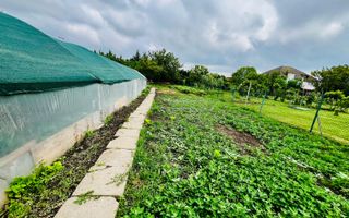 Casa Individuala 5 camere  -  Zona  Mehala - Poză 13