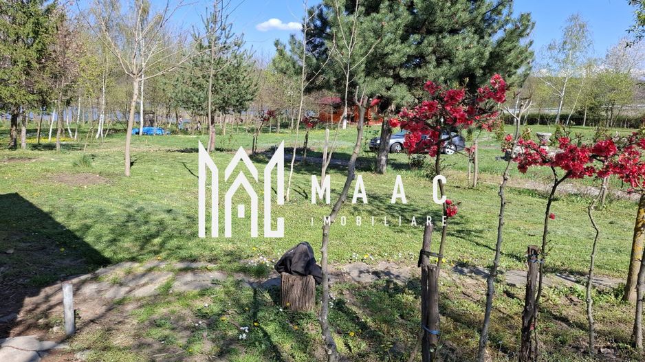 Teren Intravilan | 1150 mp | Săliște - Poză 5