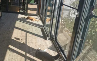 Vila Premium 2022 Branesti - Ilfov Vadu Anei I COMISION 0% I 5 camere - Poză 17