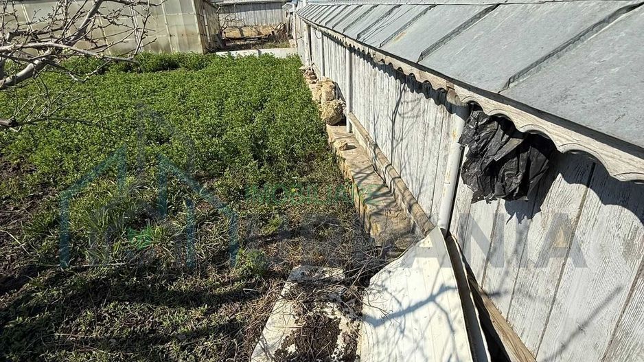 Teren cu seră și vie, Belcești, Iași - Poză 3