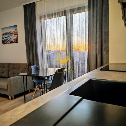 2 Camere decomandate,Iulius Mall,FSEGA,Intre lacuri,Prima inchiriere - Poză 2