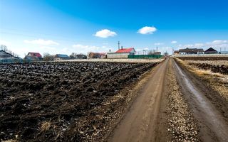 Teren 991 MP | Moara Carp | 22 ml Deschidere | Utilități | 38.000 € - Poză 6