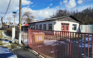 Vanzare hala atelier, stradal, Stalpeni - Poză 1