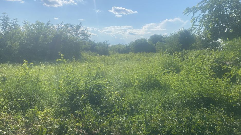 Vanzare teren intravilan cu dubla deschidere - Sacuieni - Poză 4