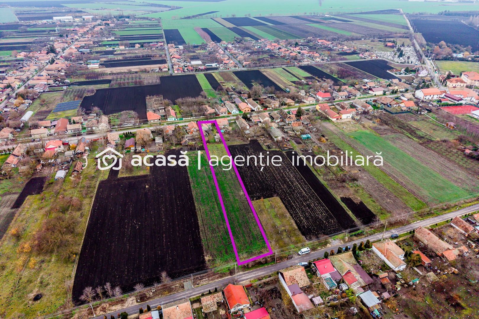 Casă + livadă tânără + curte 2.500 mp în Dorobanți - Poză 10