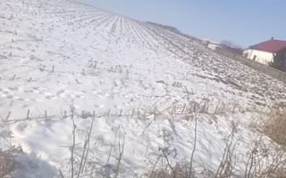 Teren intravilan și extravilan de 10.000 mp în Voinesti, Iași - Poză 7
