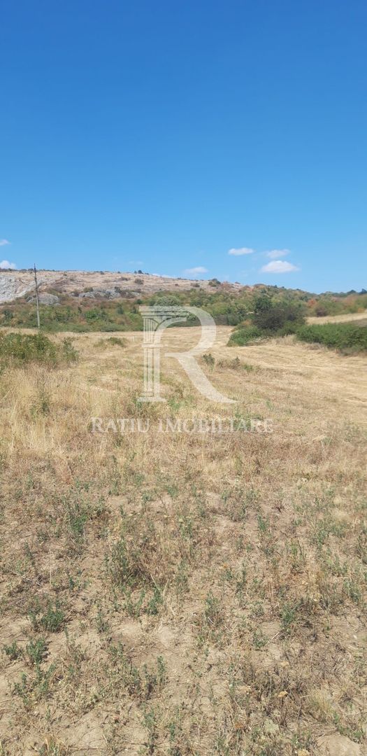 Teren extravilan | Betfia | 7935 Mp | Bihor - Poză 3