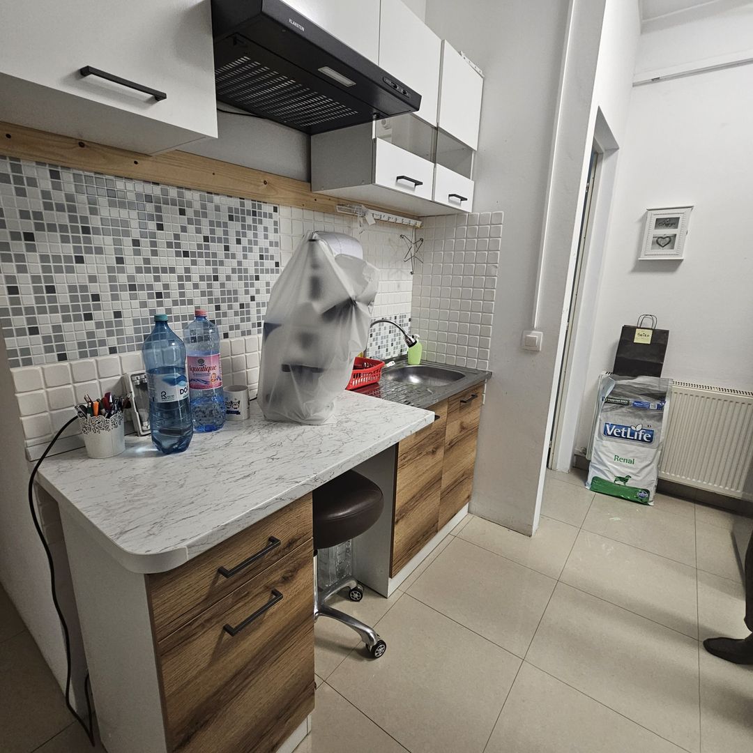 OCAZIE Spatiu Comercial Herastrau/Aviatiei - Poză 8