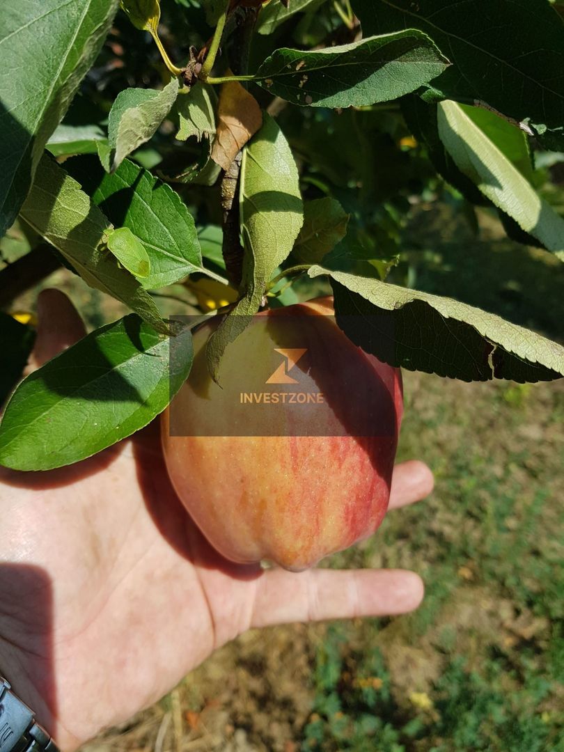 Teren cu utilități 2052 mp - Oradea - str. Făgetului - Poză 12