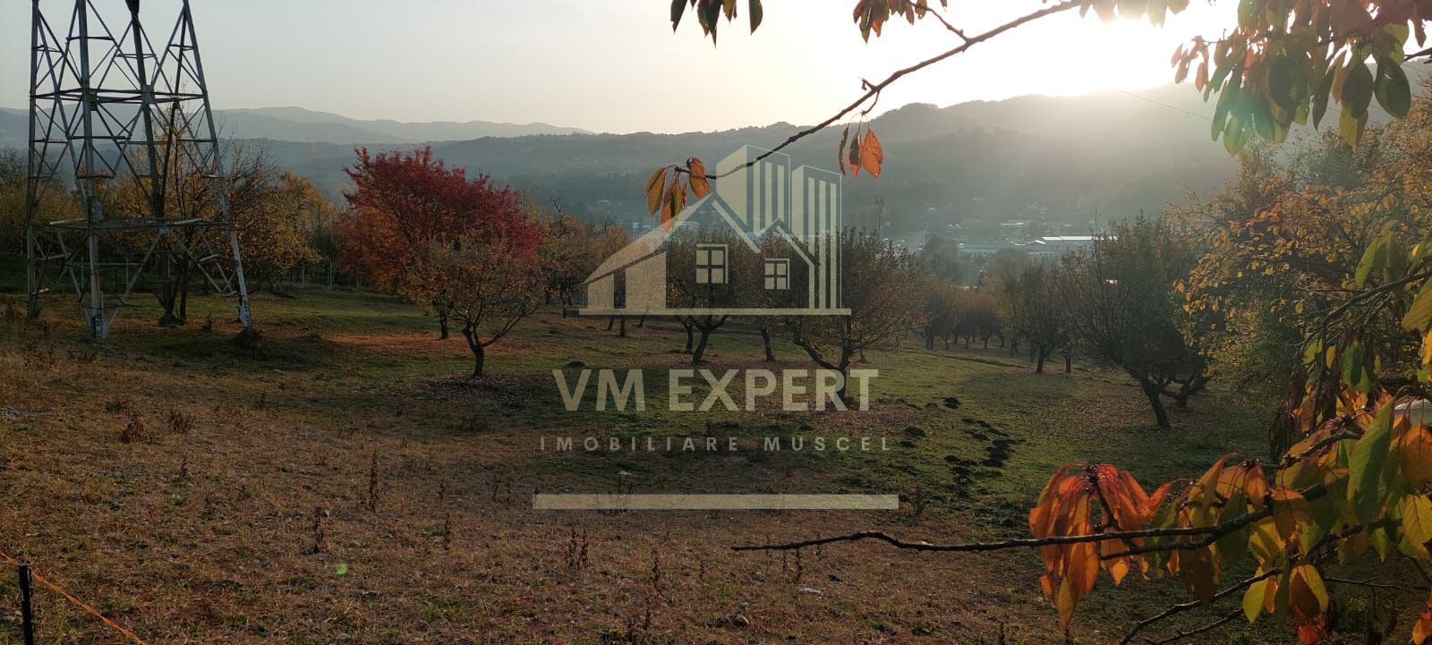 TEREN INTRAVILAN 10385 MP, MARCUS, CAMPULUNG - Poză 4